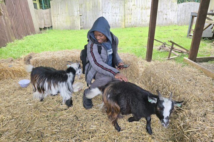 Reflecting on My Work Placement: A Journey of Growth and Learning